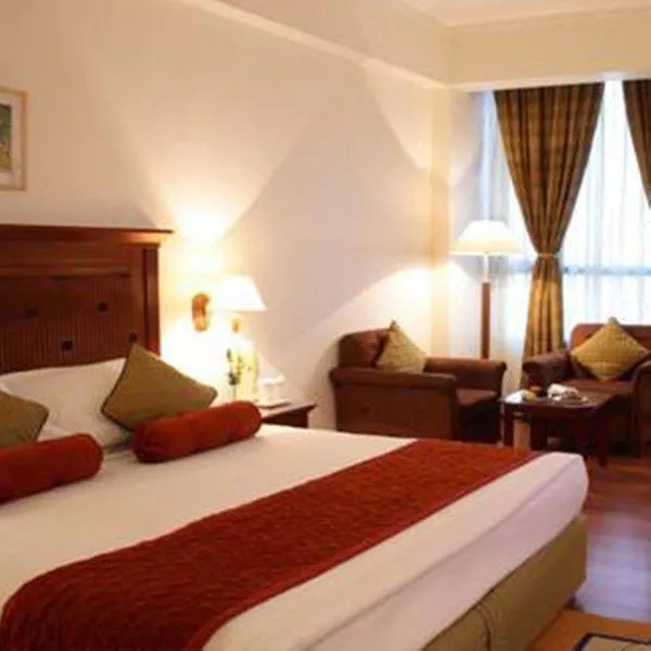 ****  Hotel City Park Delhi  India
